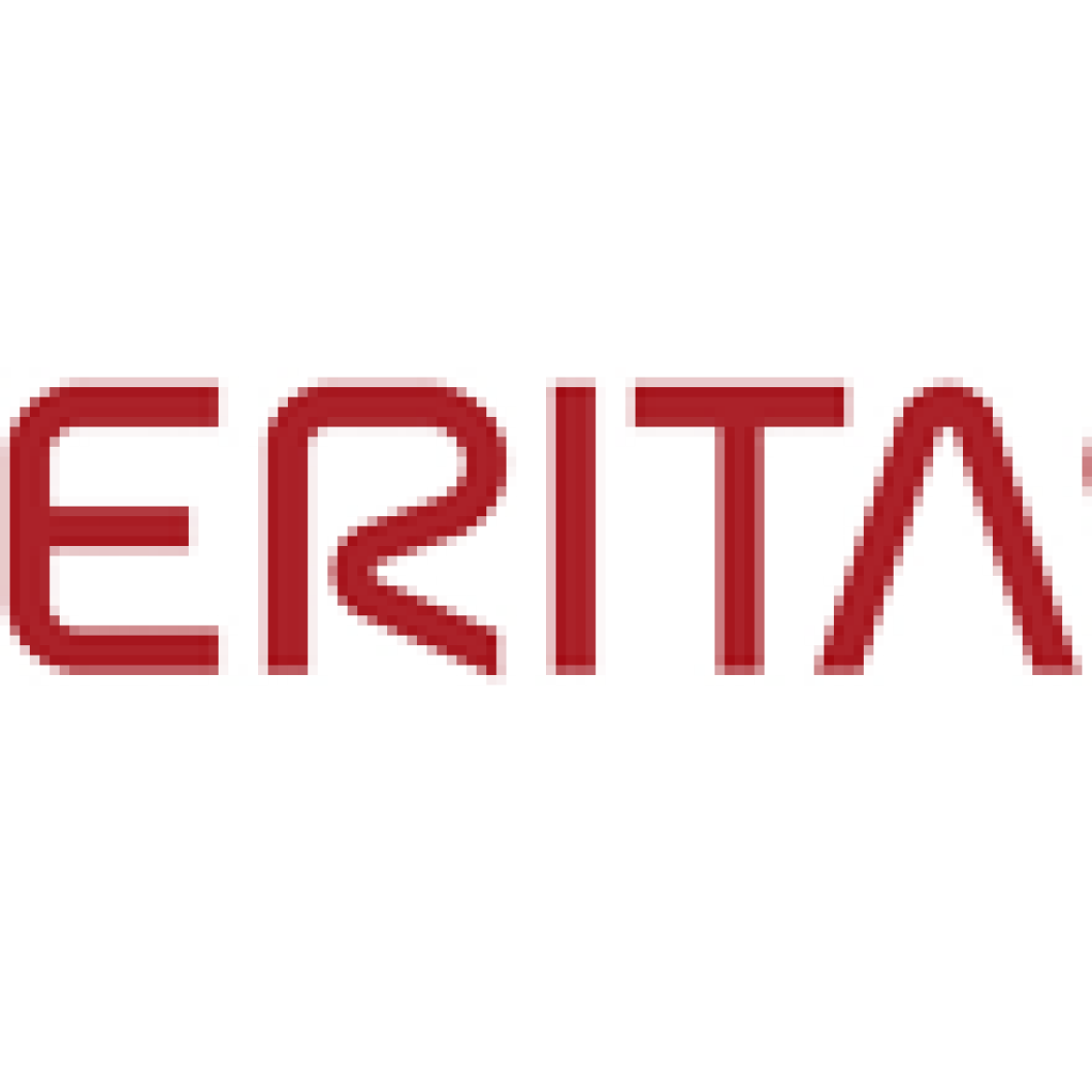 Veritas_Logo_Partner Veritas_Logo_Partner